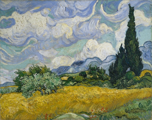 wheatfield with cypresses